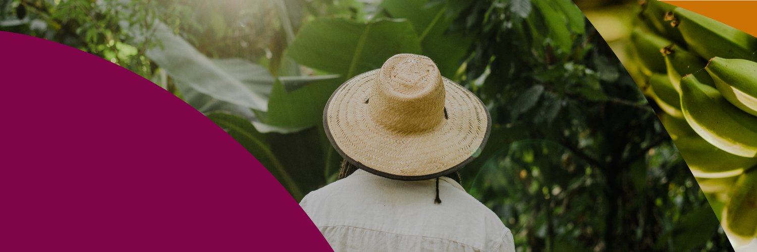 Instituto Arapyaú banner