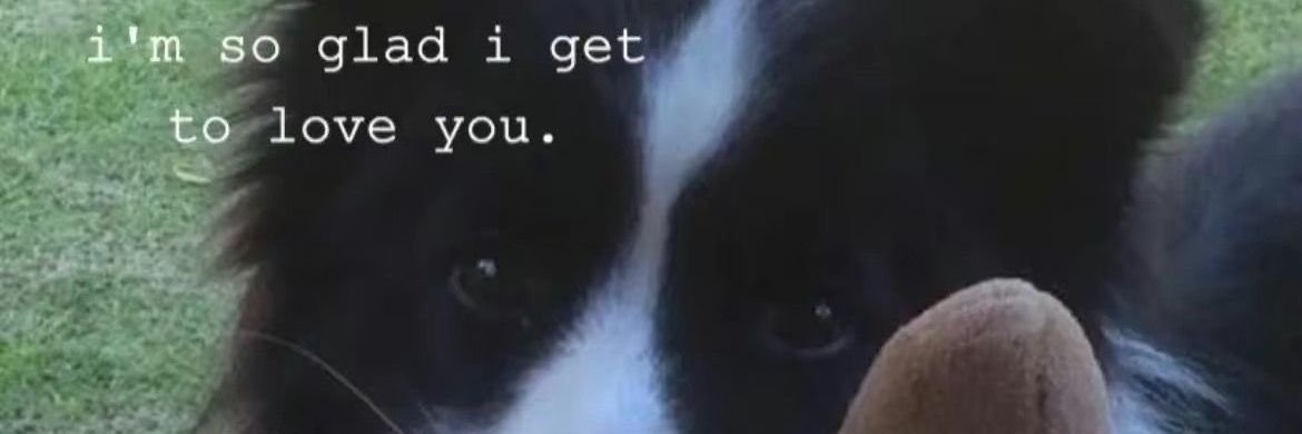 caninepoetry's banner