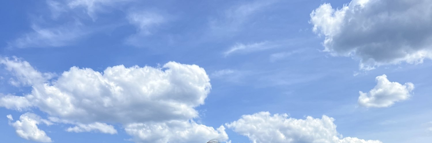 Meaghan Bolton (Cloud_9_Baby) banner