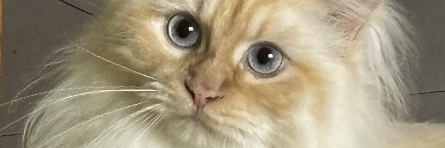 nvr7 banner