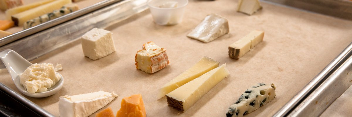 The Cheese School 🧀 banner