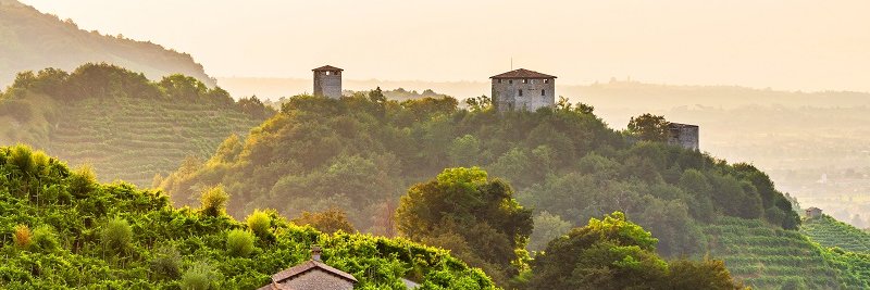 Prosecco Superiore banner