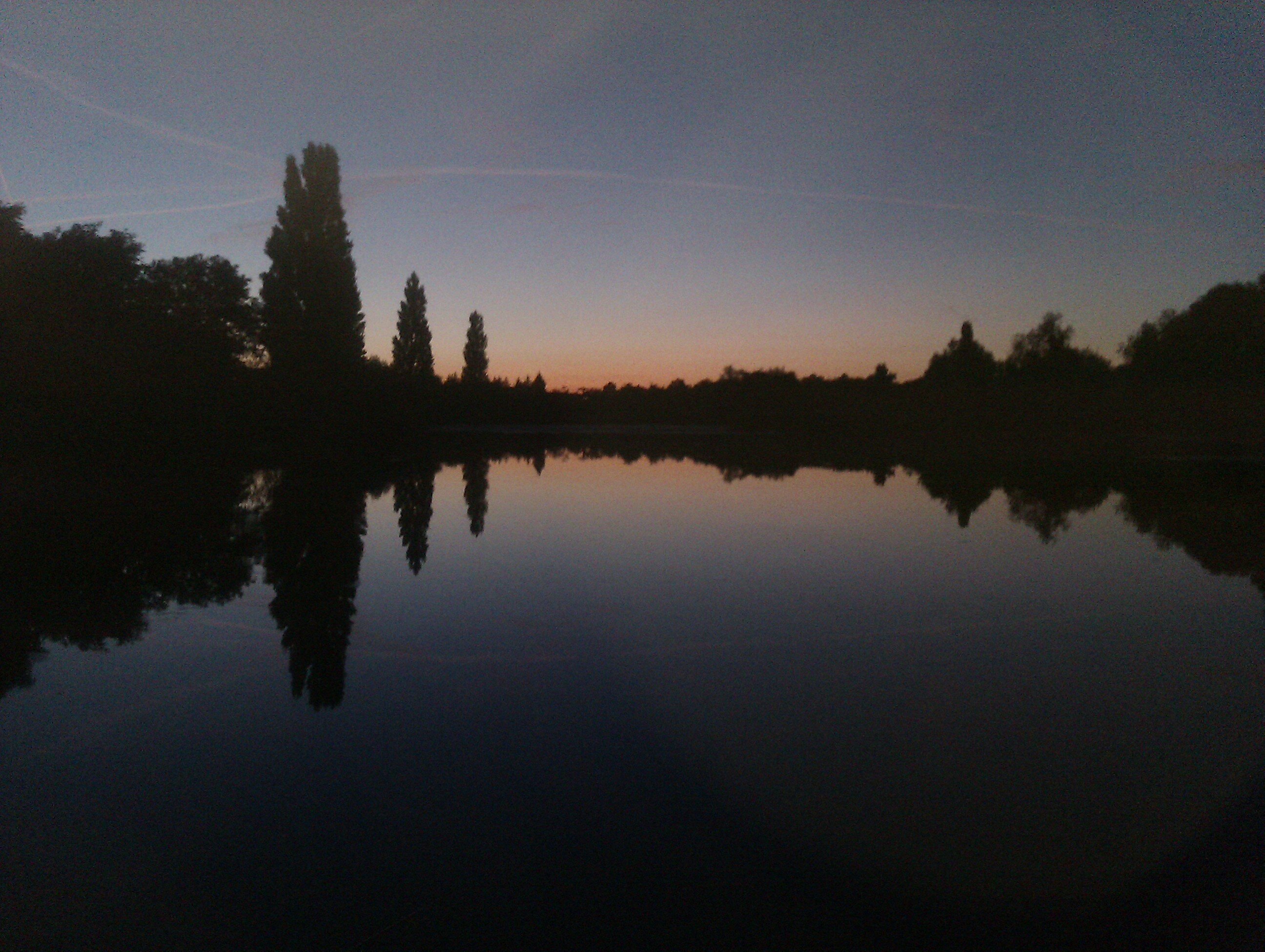 goonercarper's profile banner image