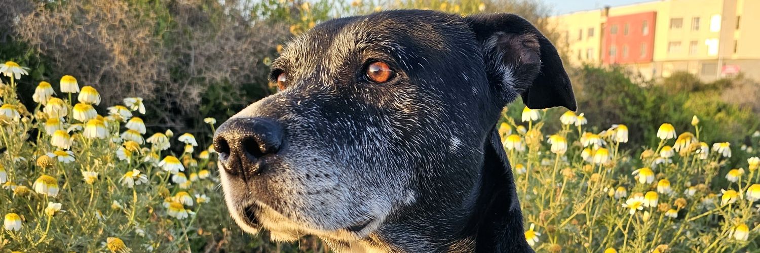 Ricki ^.^ 🇮🇨 banner