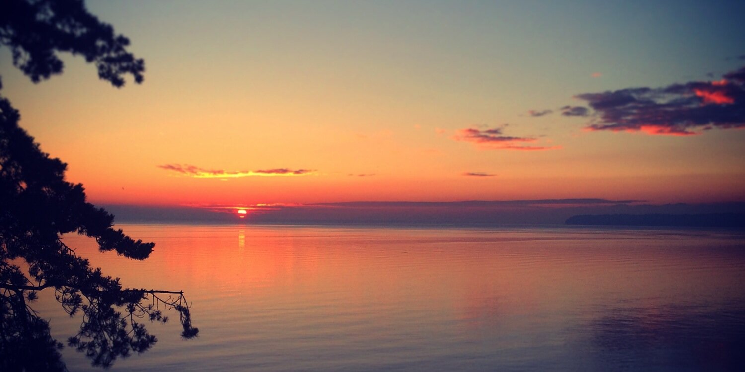 ☢ Sam Johnston ☢ banner