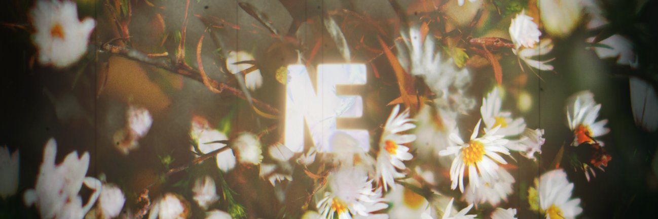 Native Estate banner