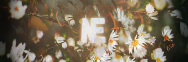 NativeEstateNE Profile Banner