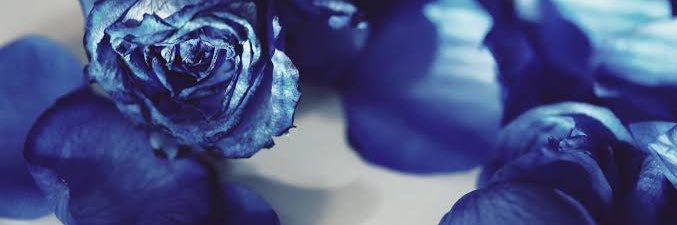 rou_Ado's profile banner image