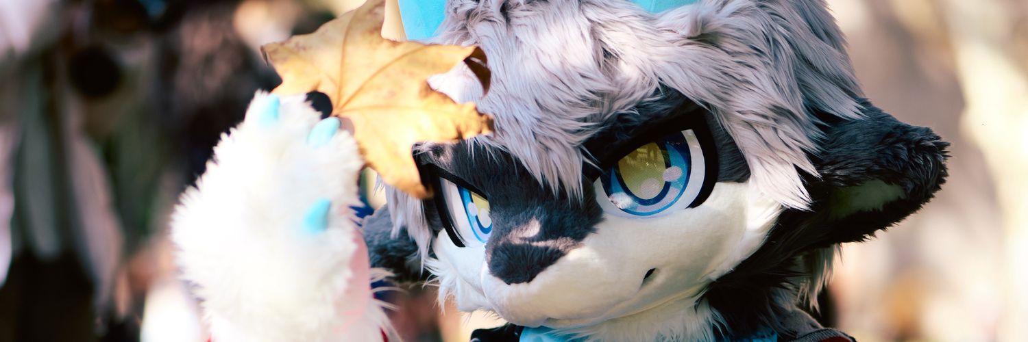 584917445's profile banner image