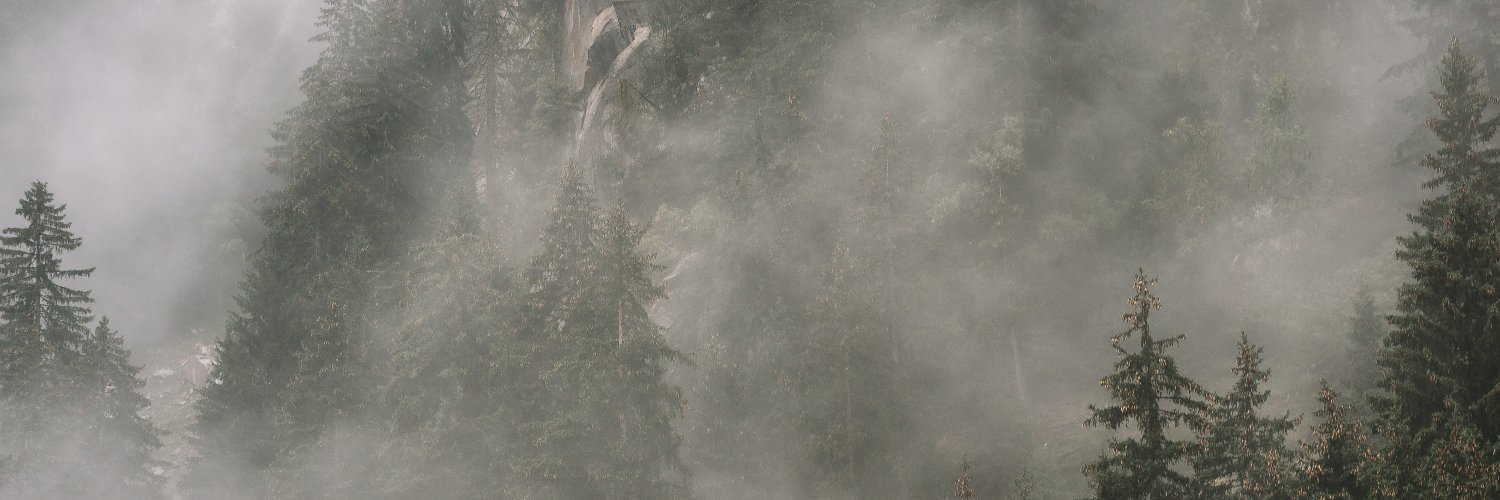 sojanvooiss's profile banner image