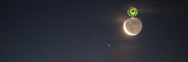 YOHOOsol's profile banner image