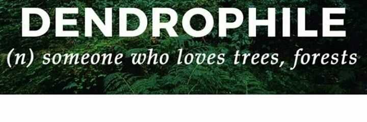 SyudPreak's profile banner image
