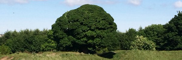 LauraDunne_QUB Profile Banner