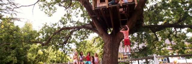 Rope Ladder Guy banner