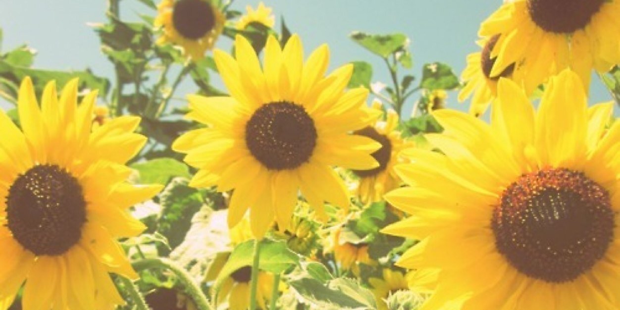 ItsMeganHere's profile banner image