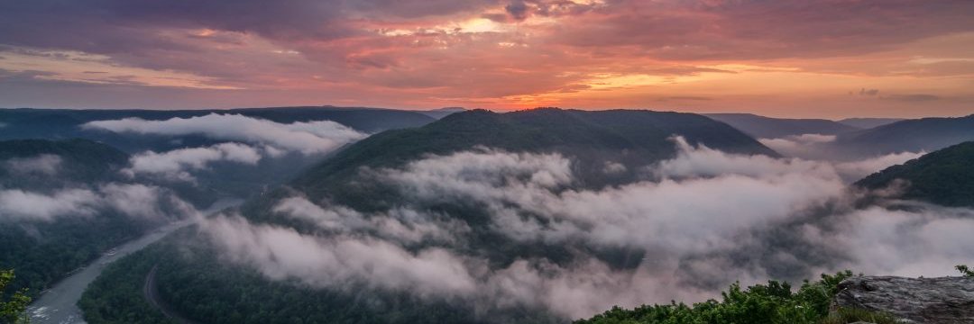 Smooth Bob Silver banner