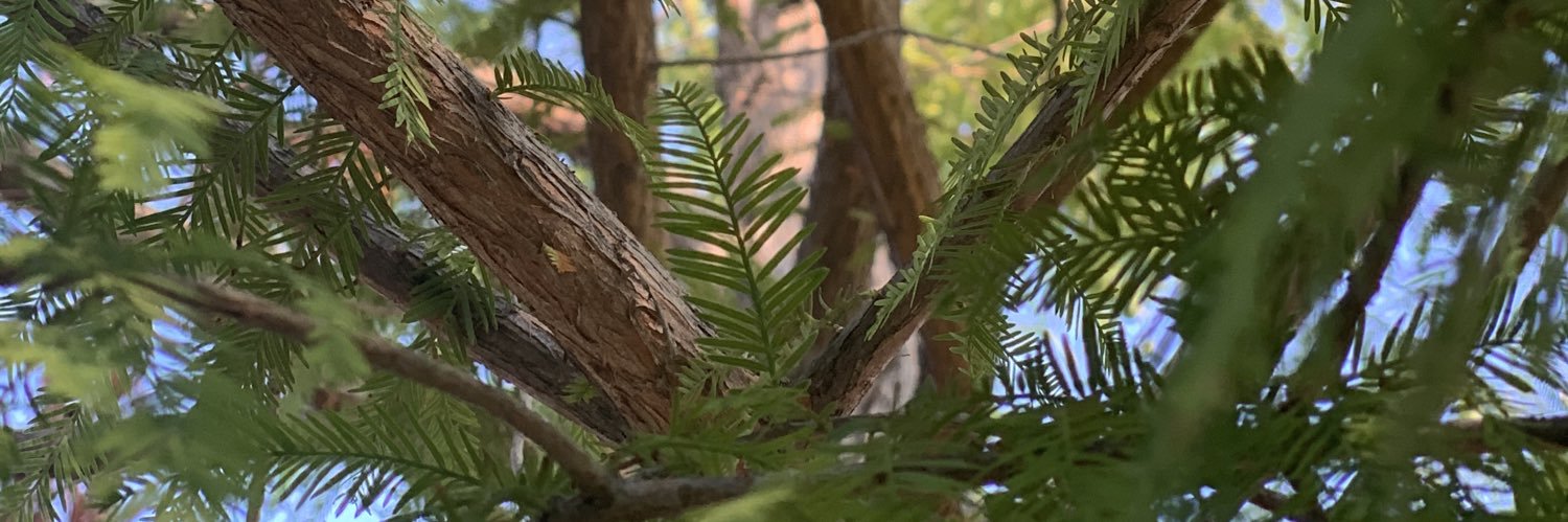 KristiPempin's profile banner image
