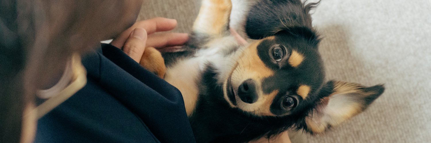 りこぴん｜LIG banner