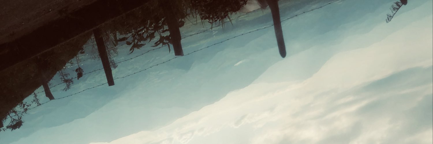 StevJav's profile banner image