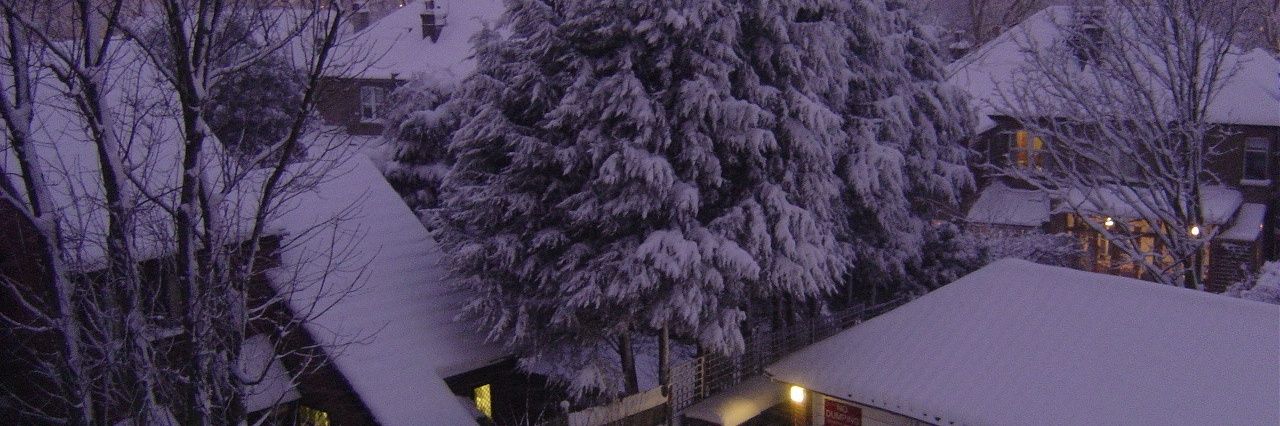 💫🪽For the love of all banner