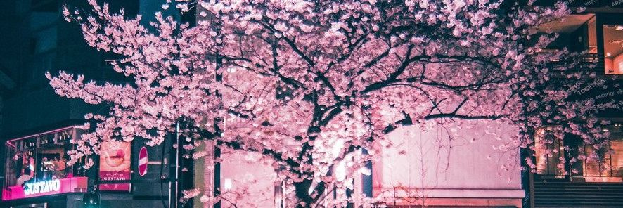 KiloMusik's profile banner image