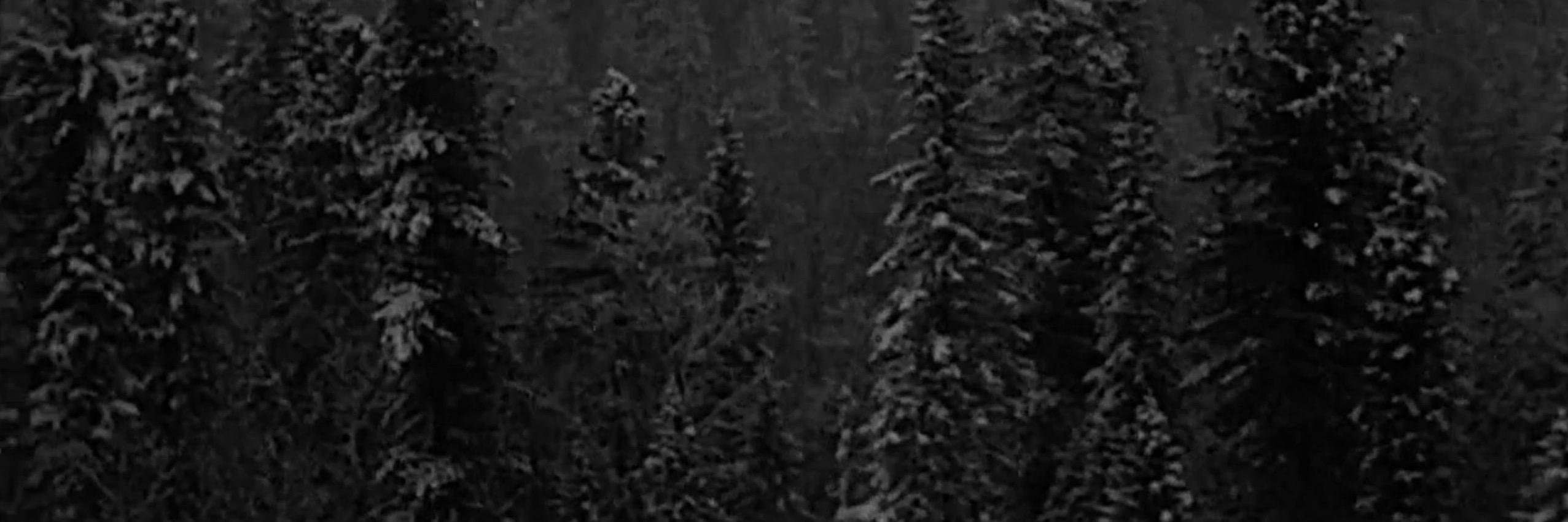 xumepa's profile banner image