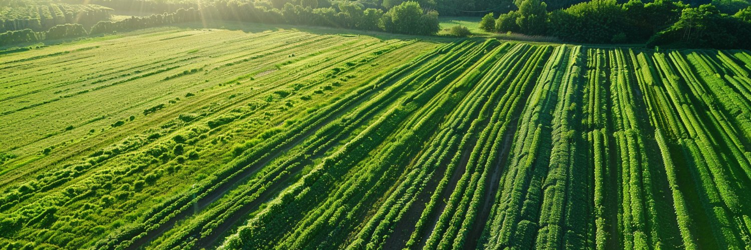 Savannah Goes Green banner