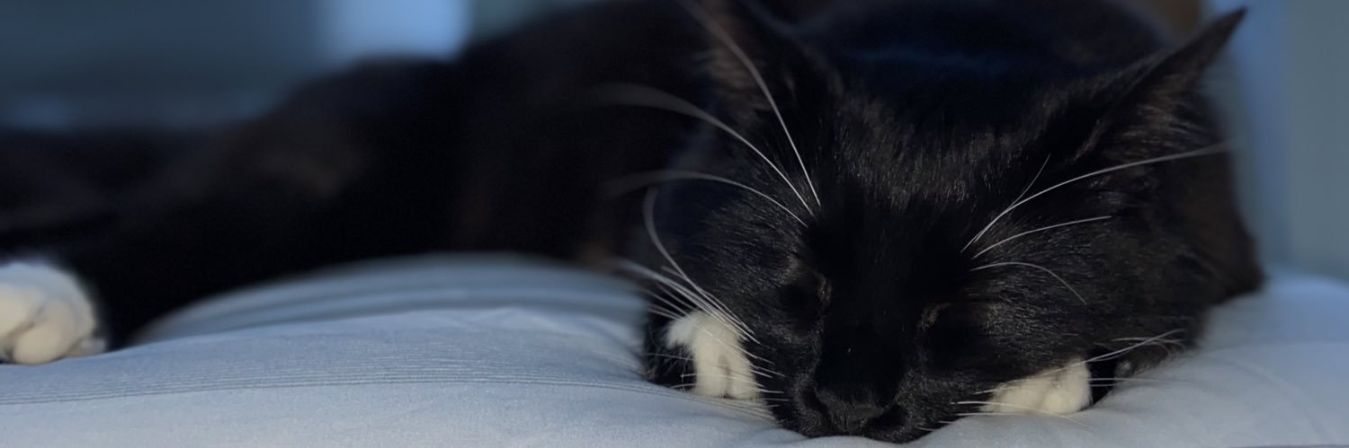 peppa_paige's profile banner image
