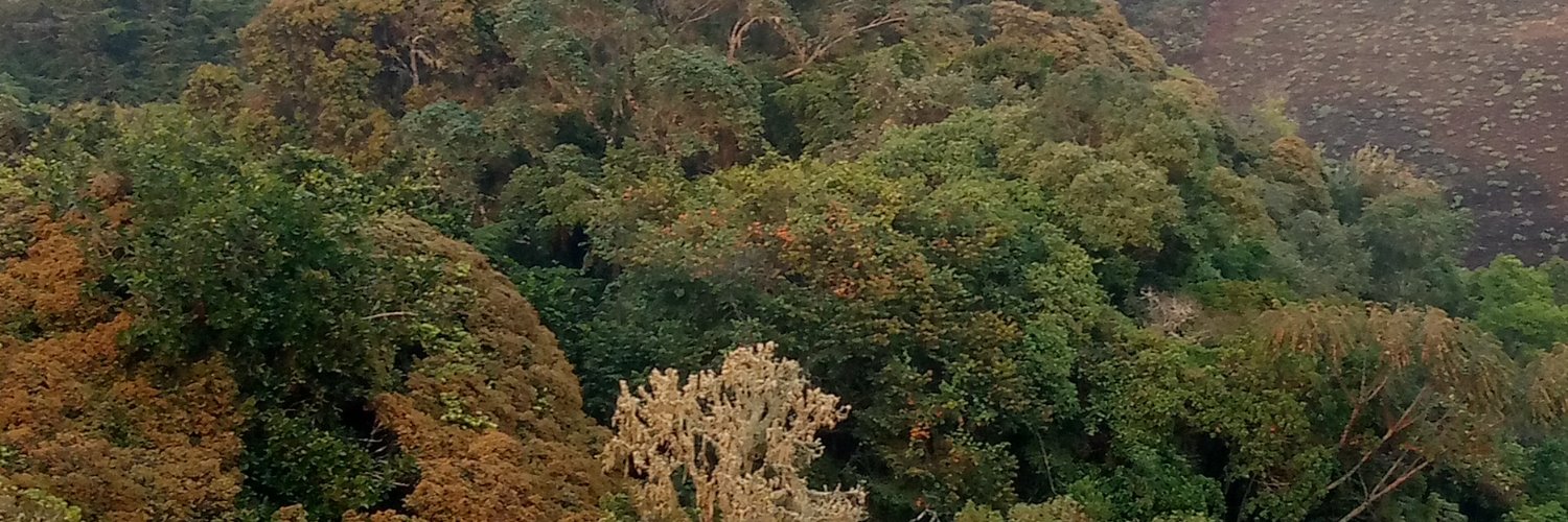 RubogoraD's profile banner image