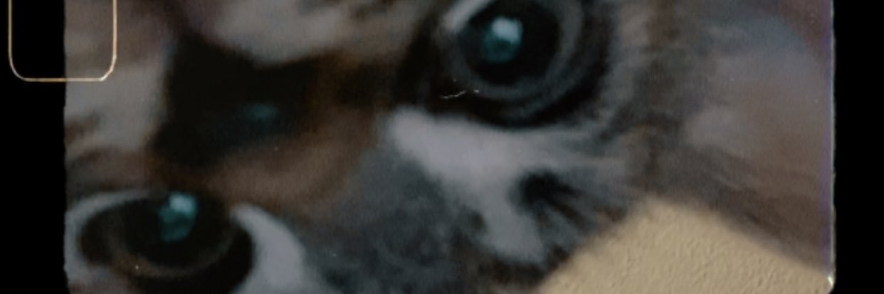 LoroM95's profile banner image