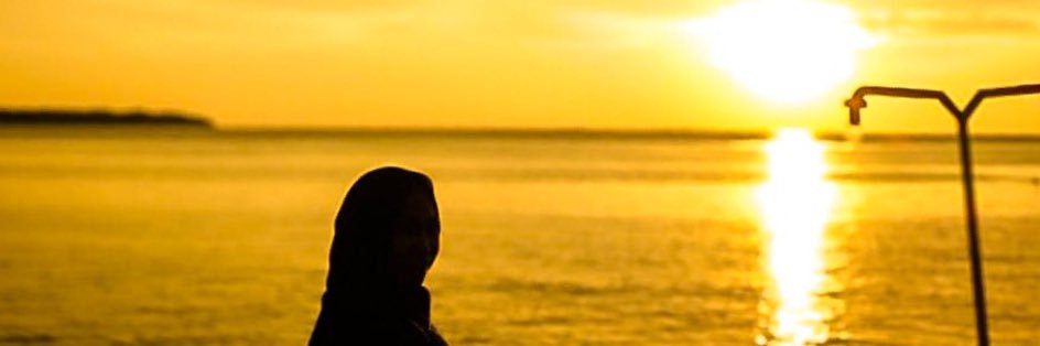 arfnissa's profile banner image