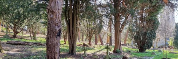 BournemouthTCP Profile Banner