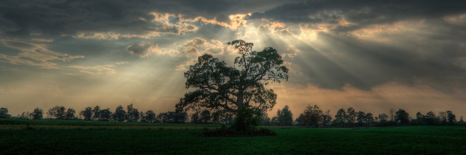 TyphonCapital's profile banner image