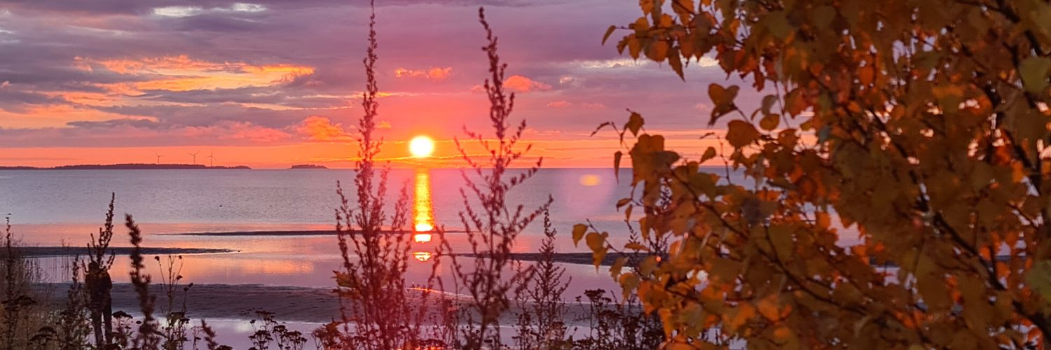 jukka_leinonen's profile banner image