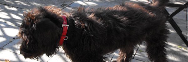 TaniaLT Profile Banner