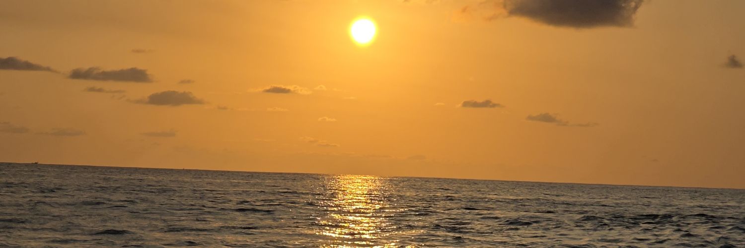 thy_analyst's profile banner image