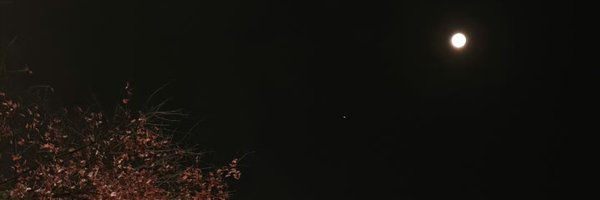 12de_rux Profile Banner