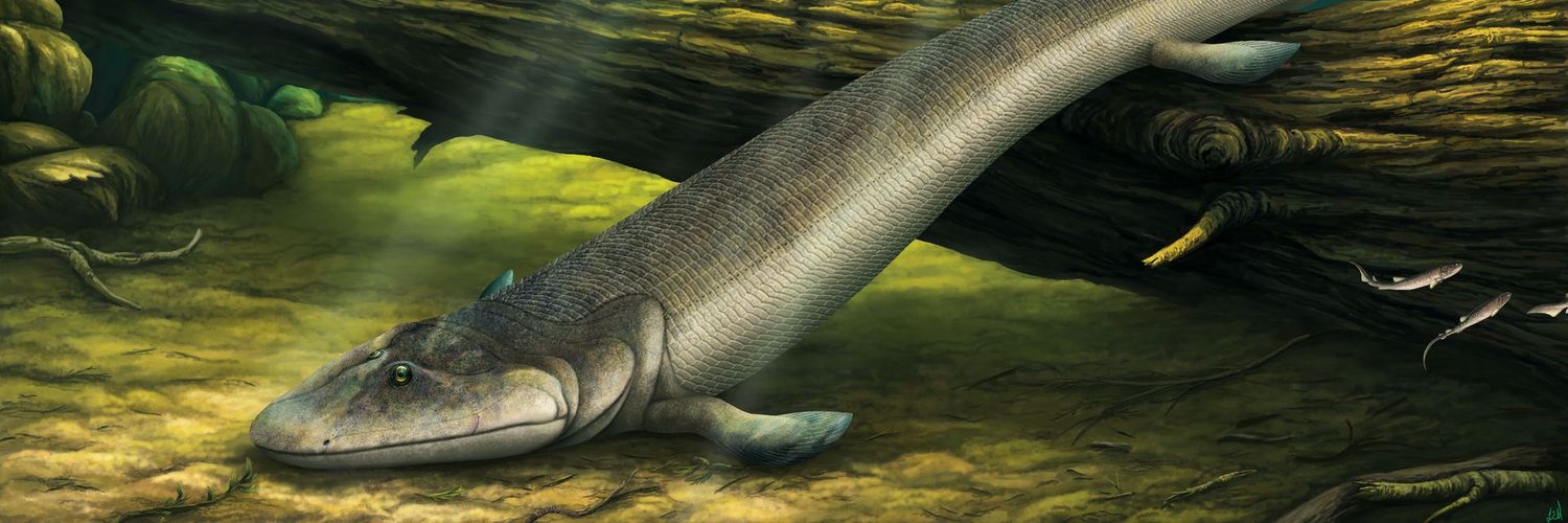 AvianDinosaurs's profile banner image
