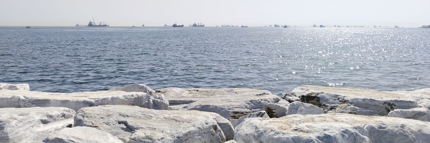 GALA TO DEATH🦁🦁🦞 banner