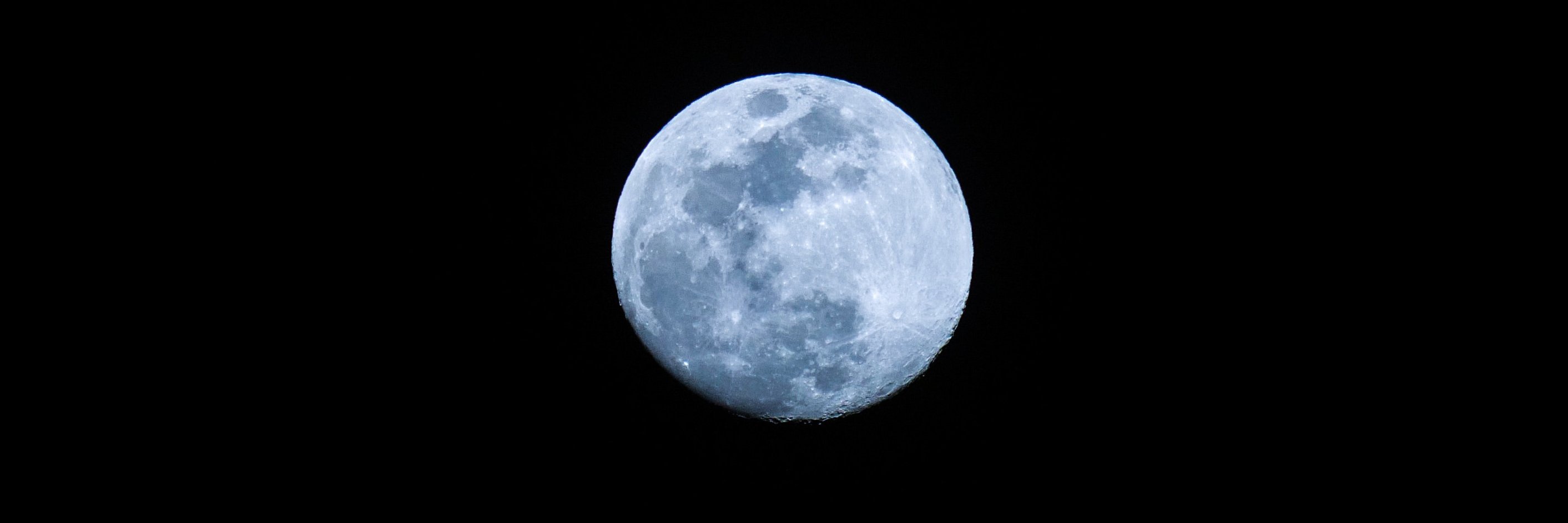 RobinBertlin's profile banner image
