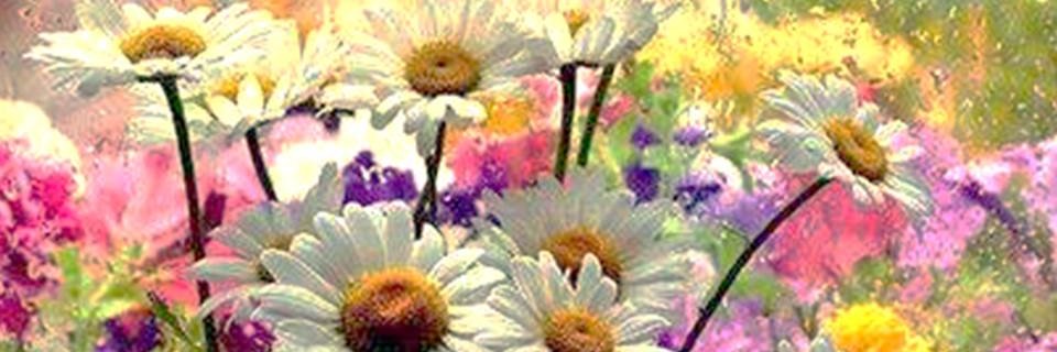 Chastity Creates Paradise on Earth banner