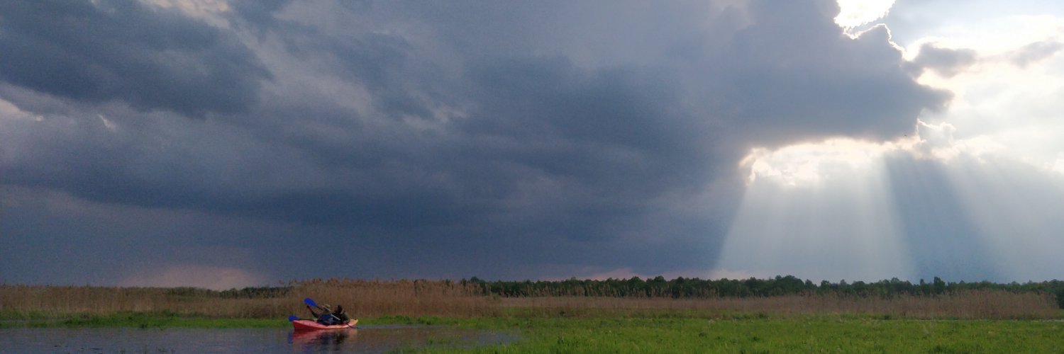 davert 🇺🇦 banner