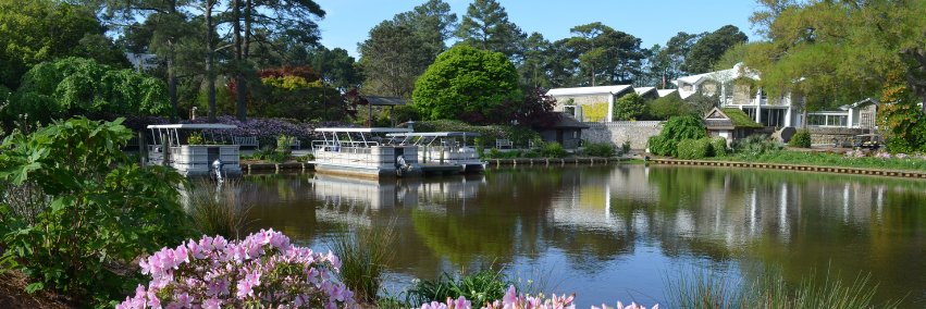 Norfolk Botanical Garden banner