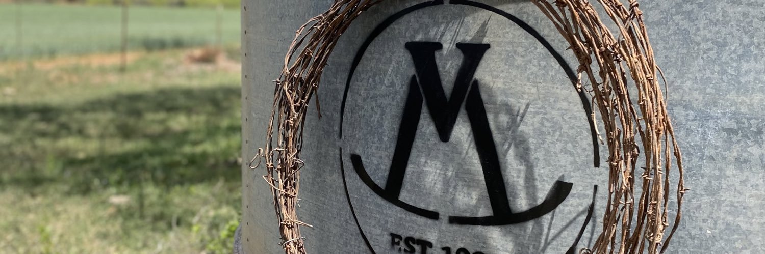 mitchelltxtiger's profile banner image