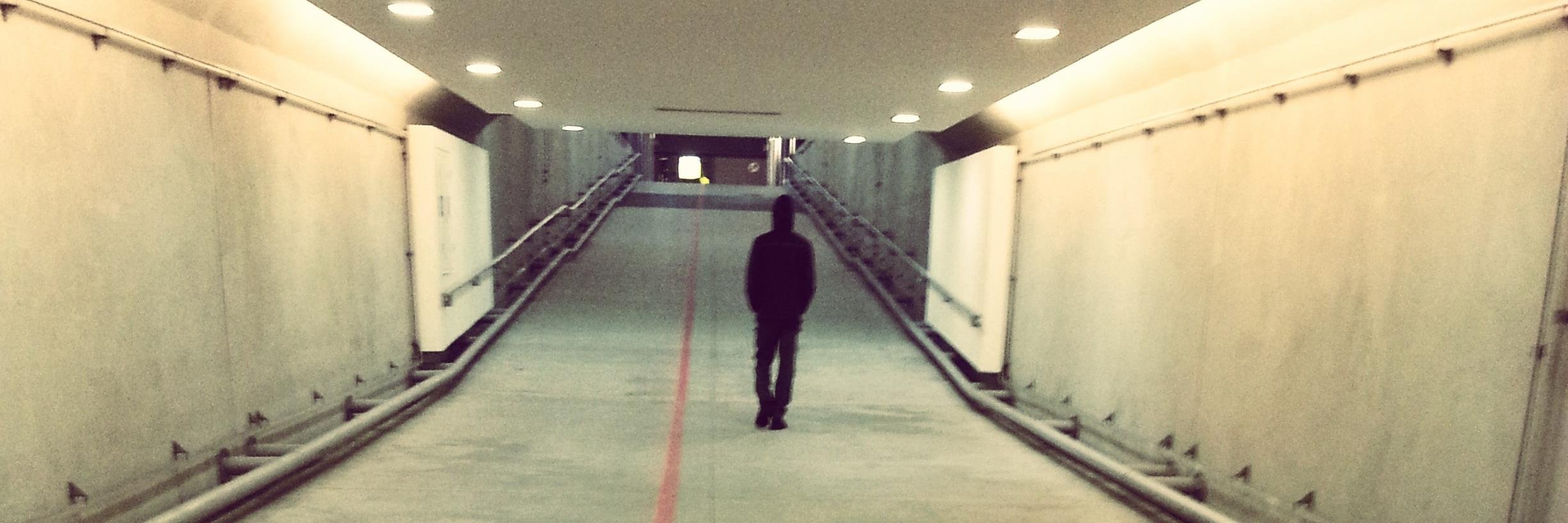pollenoid's profile banner image