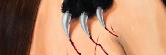 Lucinda banner