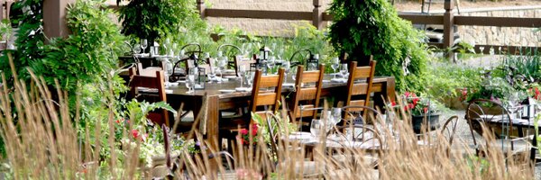 TravelV Profile Banner