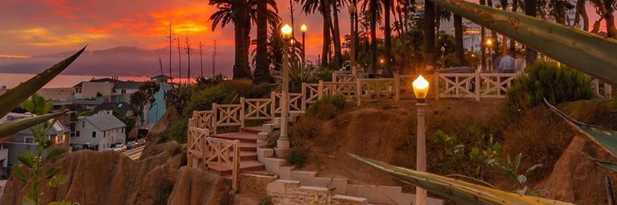 Ambitious_Diary's profile banner image