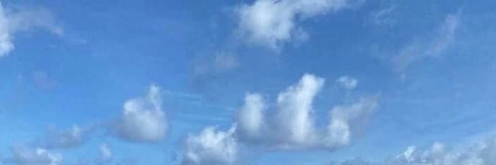 midritomidra's profile banner image