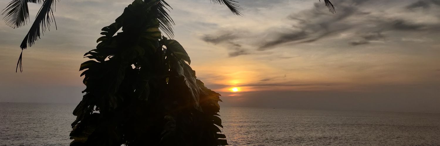 prvthykrishnan's profile banner image